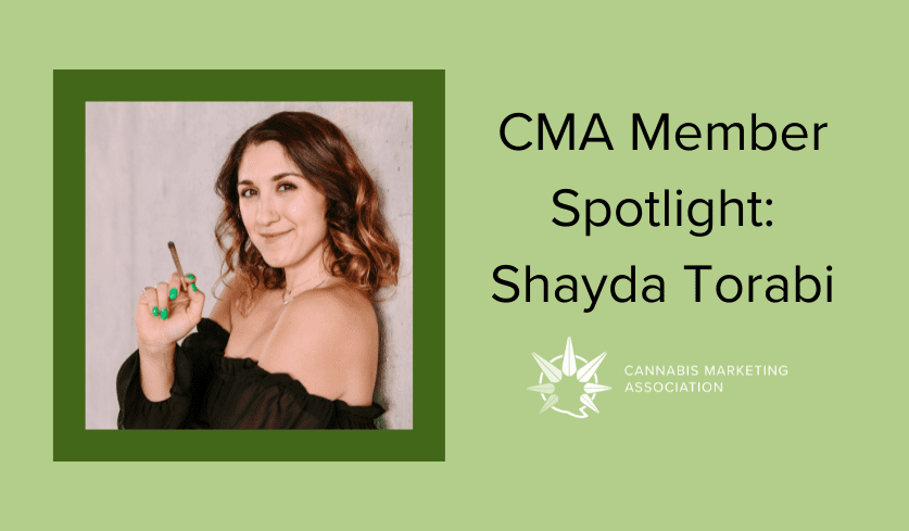 Member Spotlight: Shayda Torabi